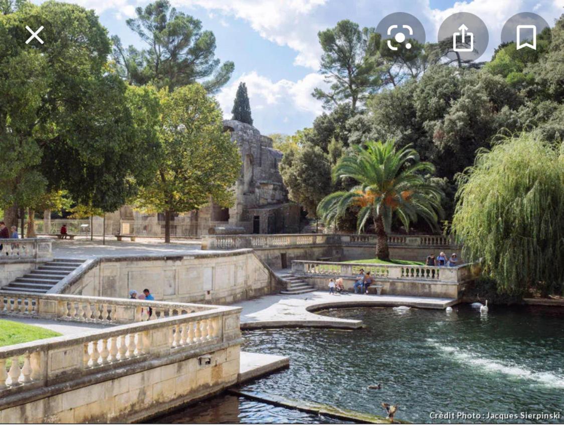 Gite Les Oliviers 10 Pers Piscine Au Calme 4 Etoiles Saint-Laurent-la-Vernede Exterior foto